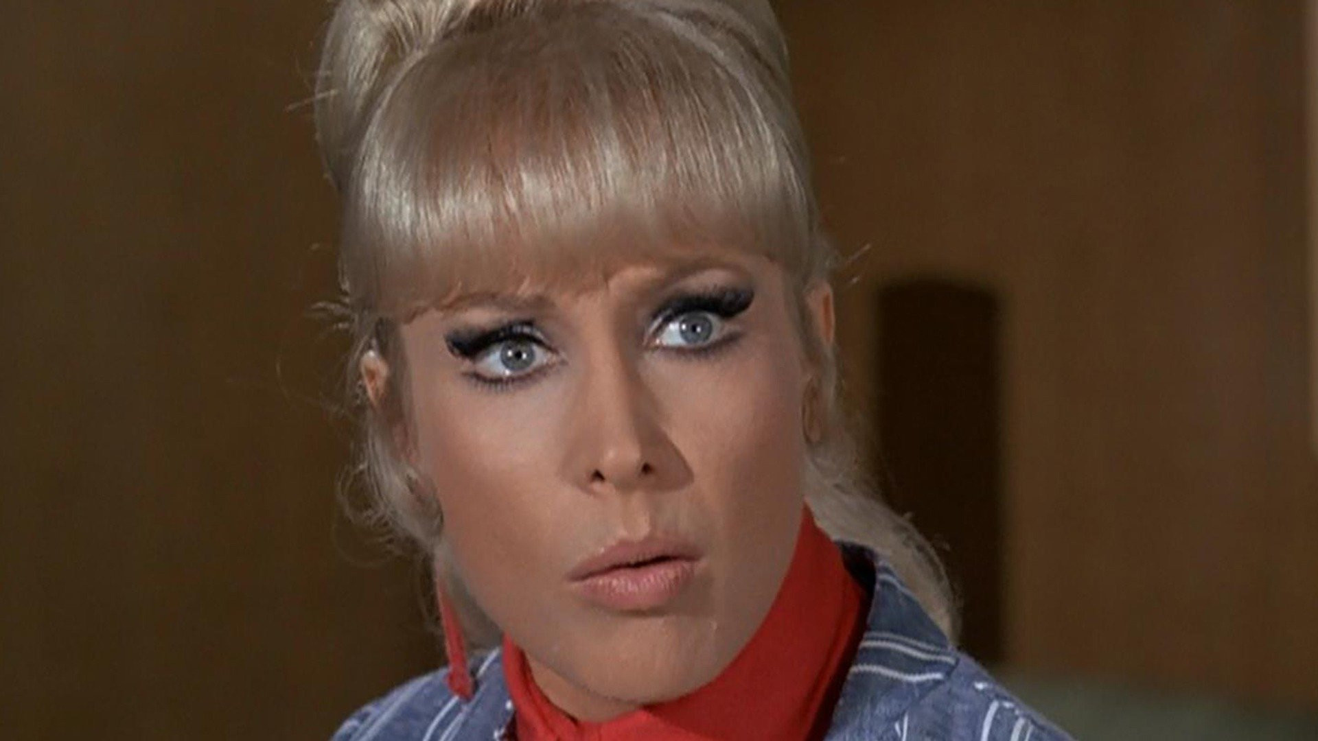 Watch I Dream Of Jeannie Online Verizon Fios Tv Watch I Dream Of Jeannie Online Verizon Fios Tv